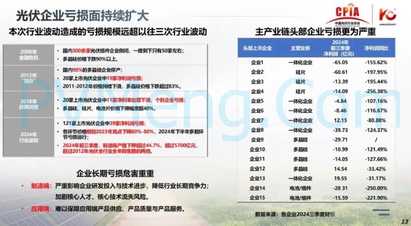 王勃华：光伏行业在逆境中砥砺前行20241205