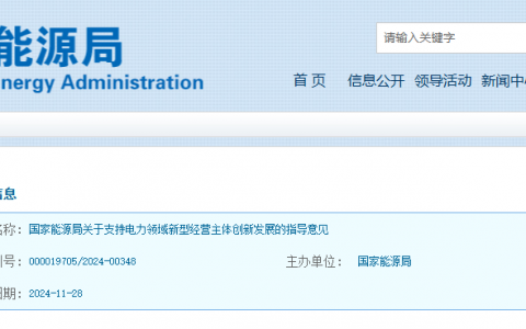 国家能源局关于支持电力领域新型经营主体创新发展的指导意见（国能发法改〔2024〕93号）202411828
