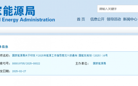 国家能源局关于印发《2025年能源工作指导意见》的通知(国能发规划〔2025〕16号)20250227